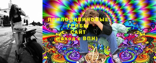 крисы Алексеевка