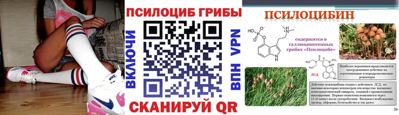Галлюциногенные грибы Psilocybe даркнет сайт KRAKEN как зайти Рыбинск
